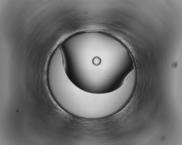 X0000098051477200804181310