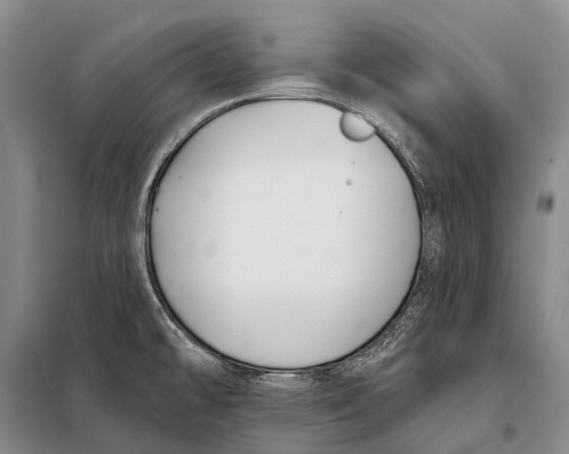 X0000098051478200804181310