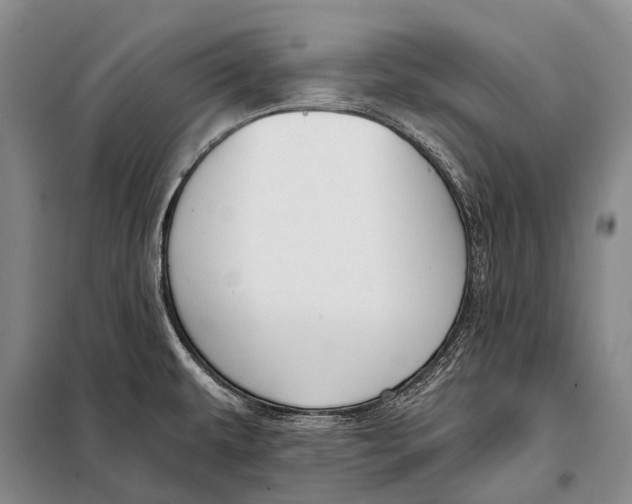 X0000098051479200804181310