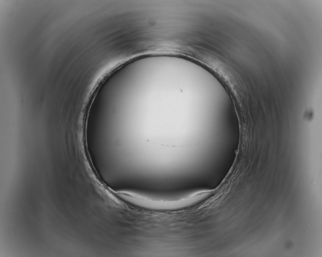 X0000098051480200804181310