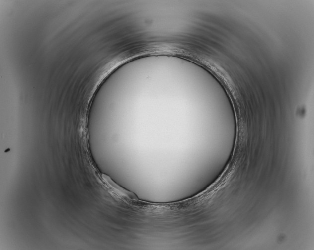 X0000098051481200804181310