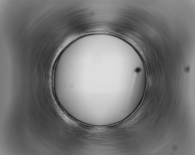 X0000098051482200804181310