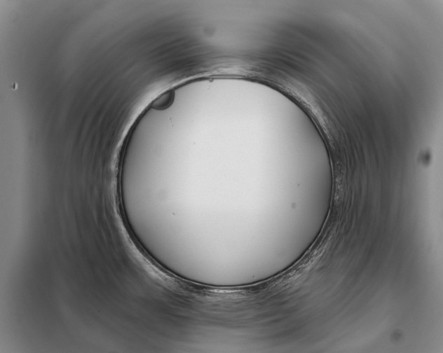 X0000098051483200804181310