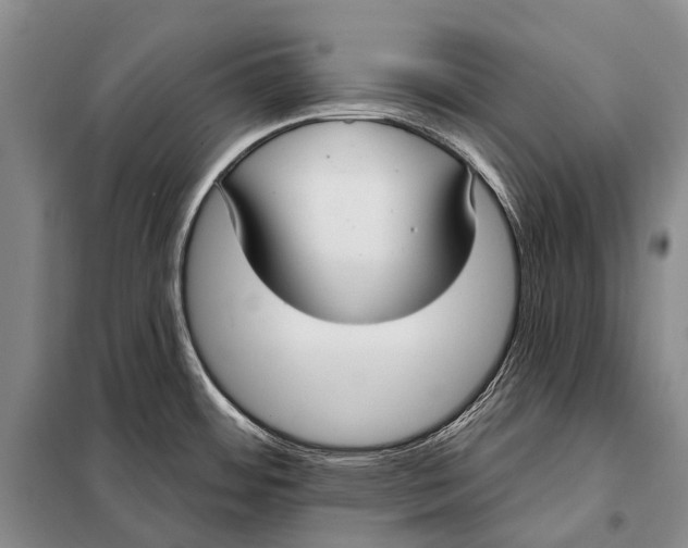 X0000098051484200804181310