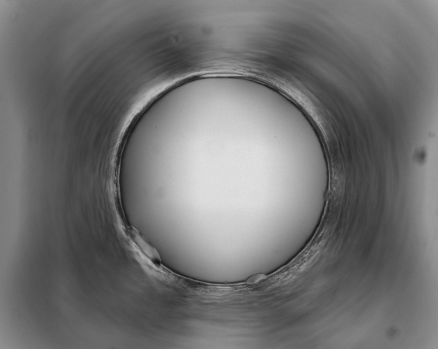 X0000098051485200804181310