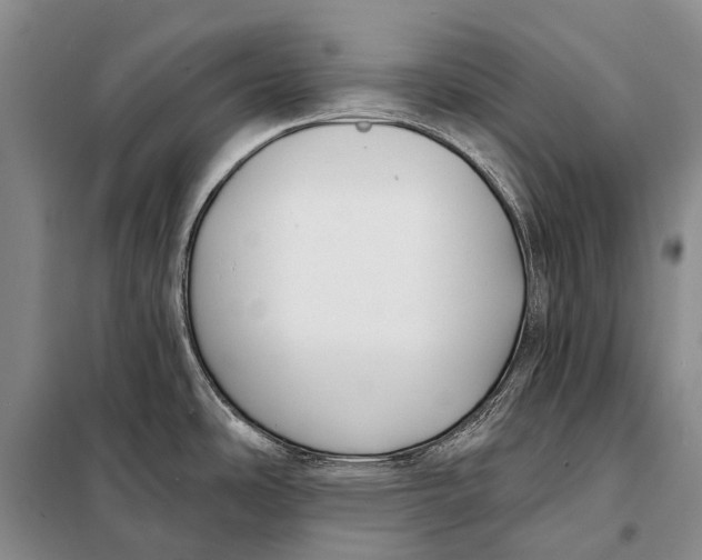 X0000098051486200804181310