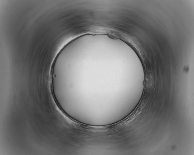 X0000098051487200804181310