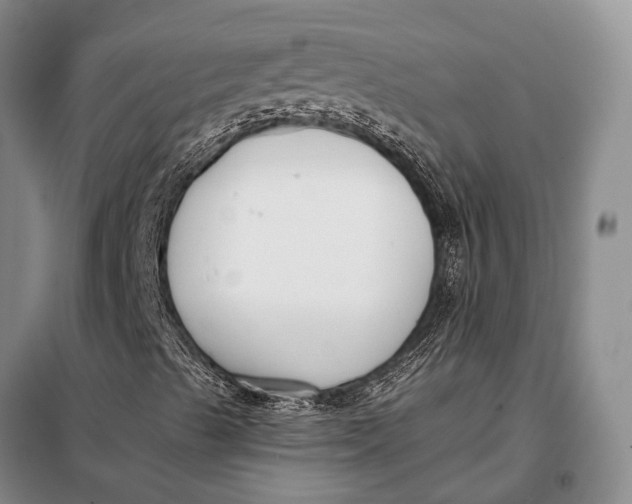 X0000098051489200804181309