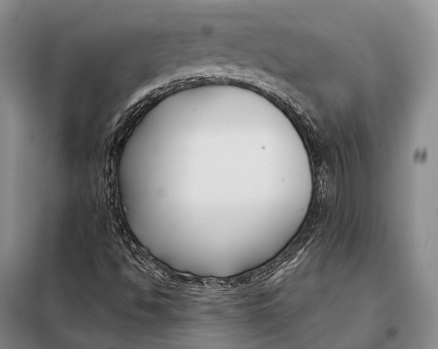 X0000098051494200804181309