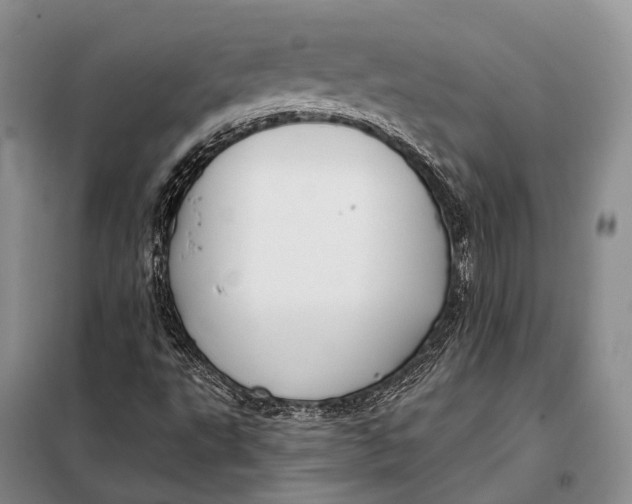 X0000098051495200804181309