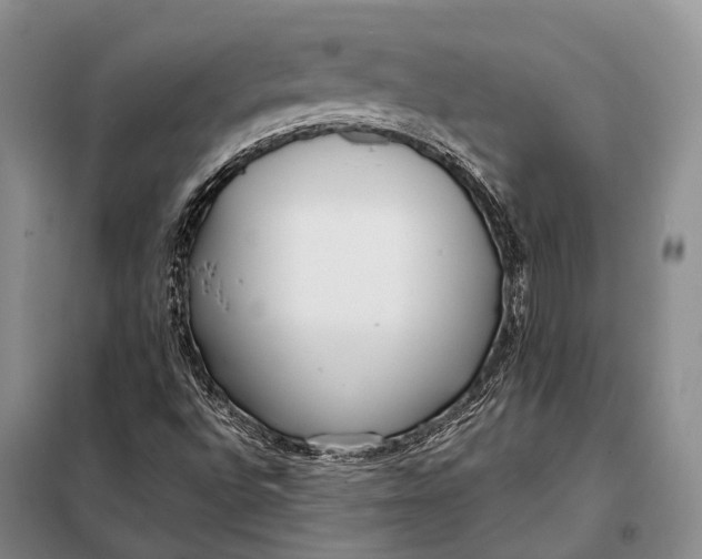 X0000098051496200804181309