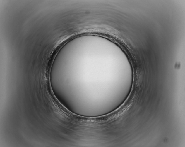 X0000098051497200804181309