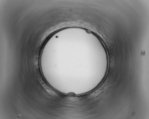 X0000098051499200804181309