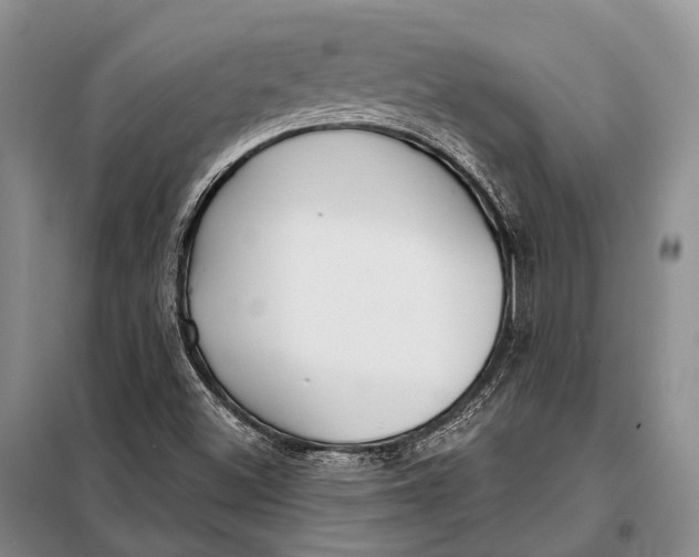 X0000098051500200804181309