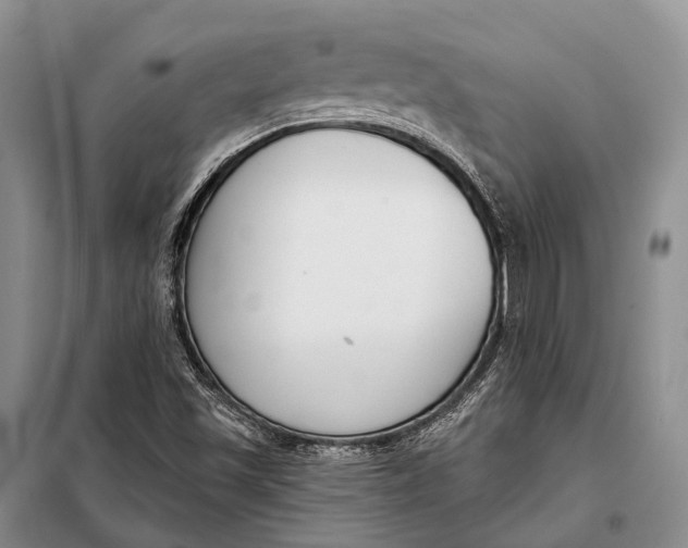 X0000098051501200804181309