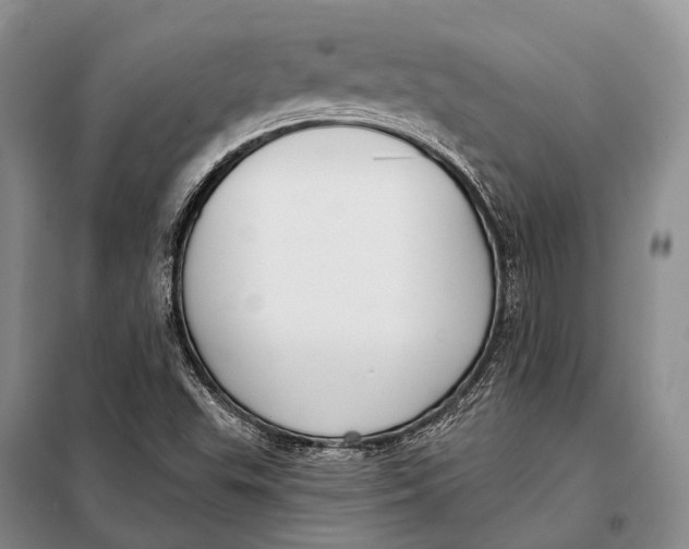 X0000098051503200804181309