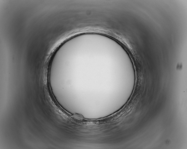 X0000098051504200804181309