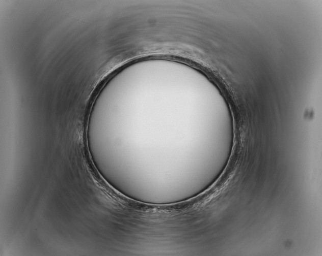 X0000098051505200804181309