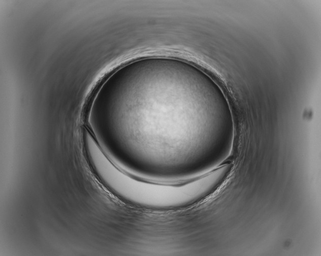 X0000098051506200804181309