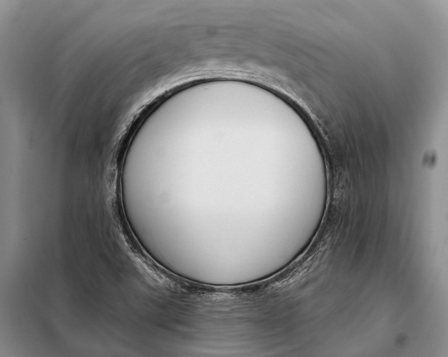 X0000098051507200804181309