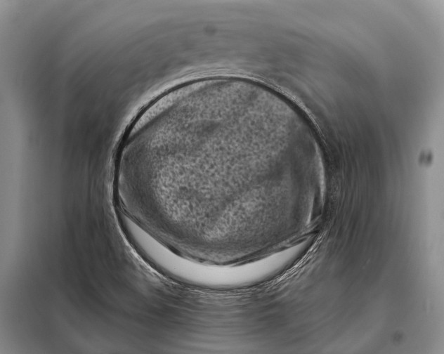 X0000098051508200804181309