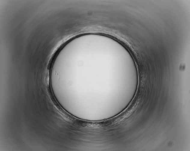 X0000098051509200804181309