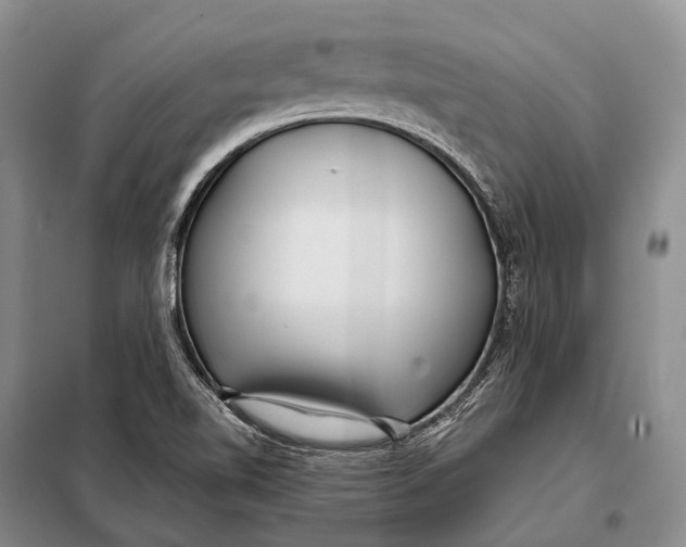 X0000098051510200804181309