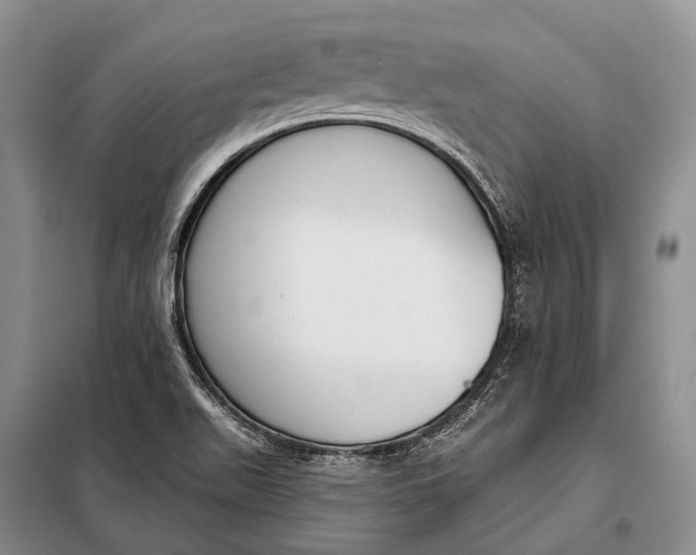 X0000098051511200804181309