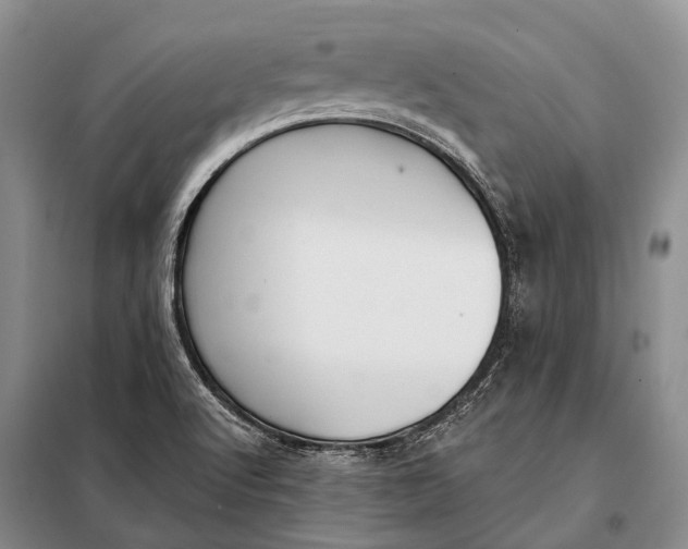 X0000098051512200804181309