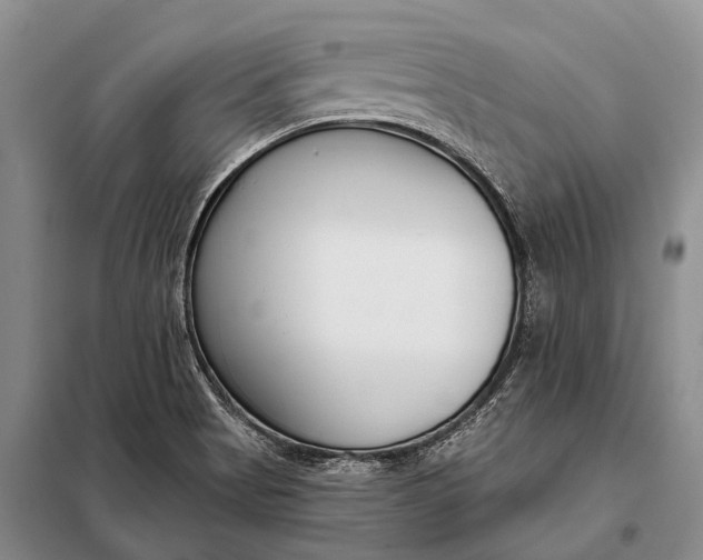 X0000098051513200804181309