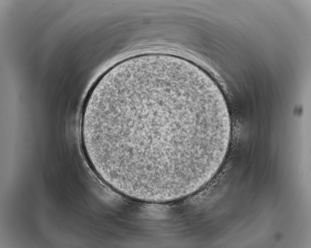 X0000098051514200804181309