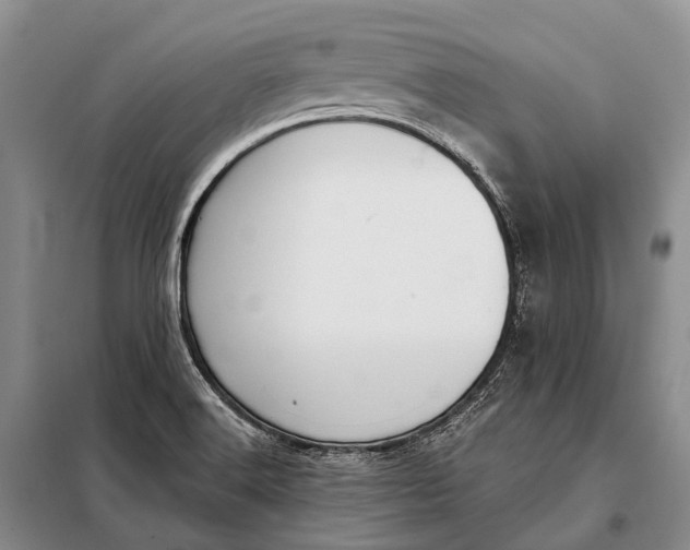 X0000098051516200804181310