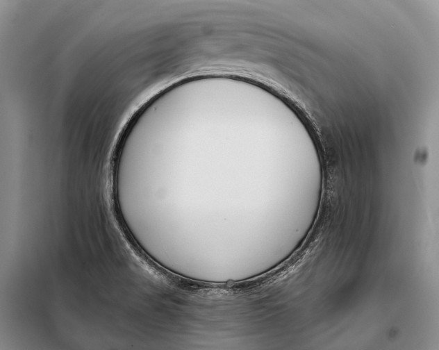 X0000098051517200804181310