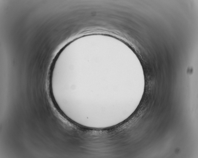 X0000098051518200804181310