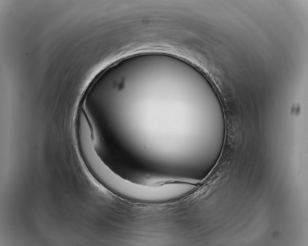 X0000098051519200804181310