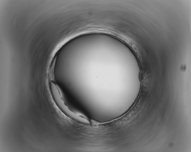 X0000098051520200804181310