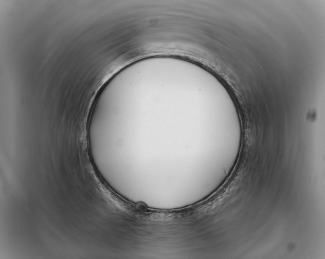 X0000098051521200804181310