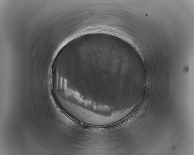 X0000098051522200804181310