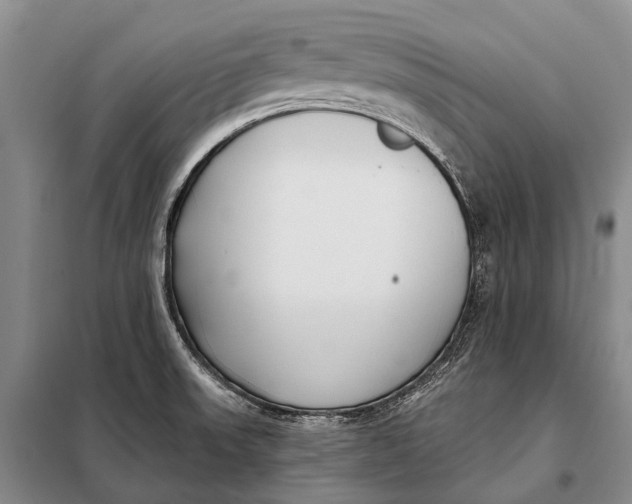 X0000098051523200804181310