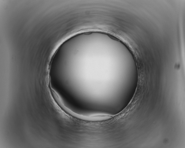 X0000098051524200804181310