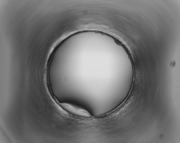 X0000098051525200804181310