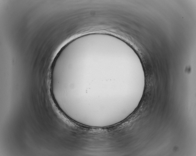 X0000098051526200804181310