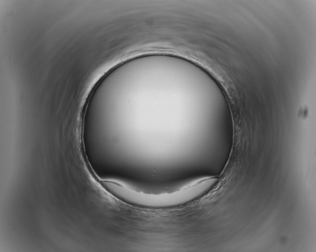 X0000098051527200804181310