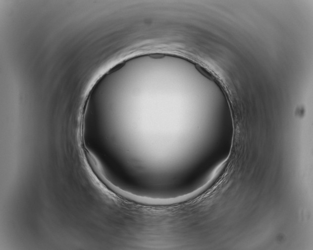 X0000098051528200804181310