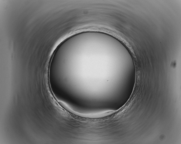 X0000098051530200804181310