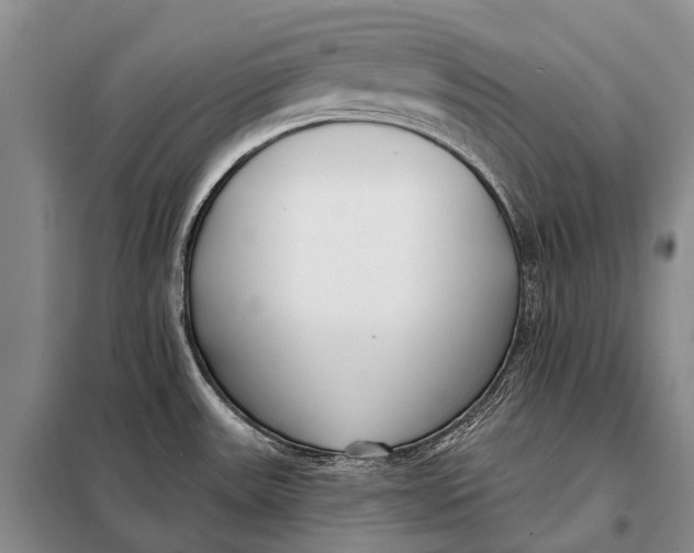 X0000098051531200804181310