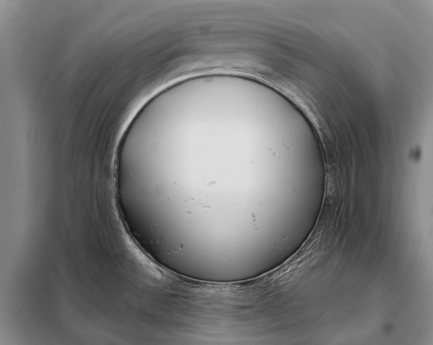 X0000098051532200804181310