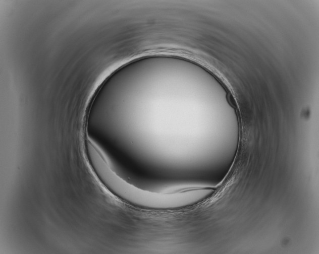 X0000098051533200804181310