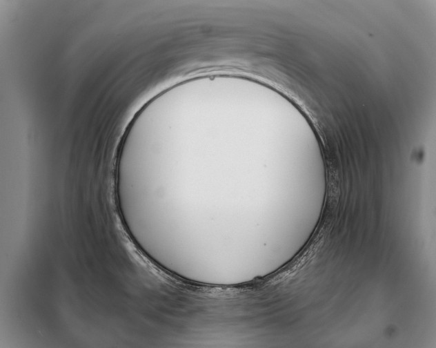 X0000098051534200804181310