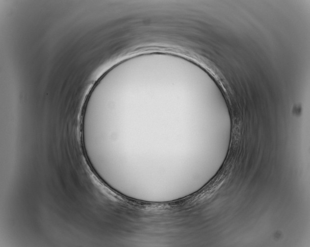 X0000098051535200804181310